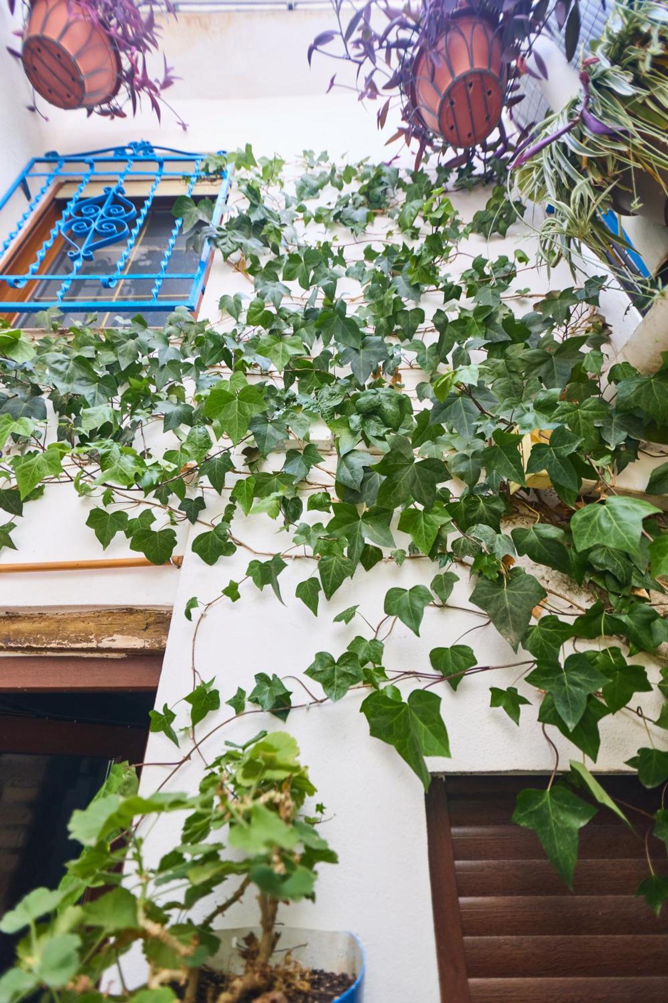 Casa El "Tablao De Las Almendras" กรานาดา ภายนอก รูปภาพ